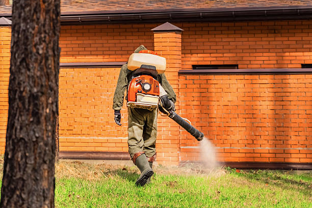 Top rated local Ant Control specialists in Waukon, IA